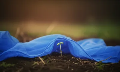 Illustration superinduced - Image 1