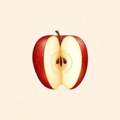 Illustration partition - Image 1