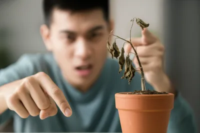 Illustration rated - Image 1