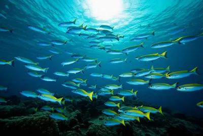 Illustration surfacing - Image 1