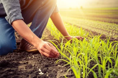 Illustration spent - Image 1