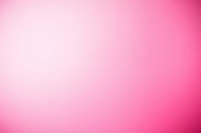 Illustration carnations - Image 1