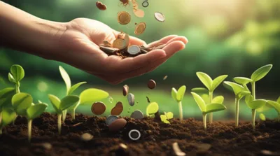 Illustration disbursement