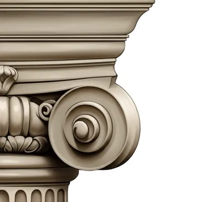 Illustration volutes - Image 1