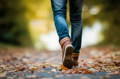 Illustration ankles - Image 1