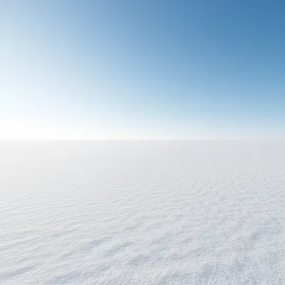 Illustration whiter - Image 1