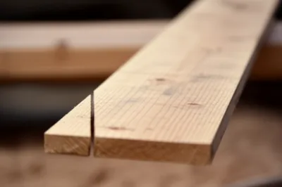 Illustration toes - Image 1