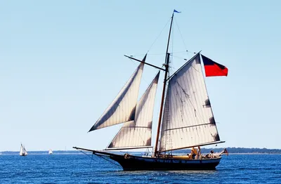 Illustration main - Image 1