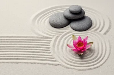 Illustration collection - Image 1