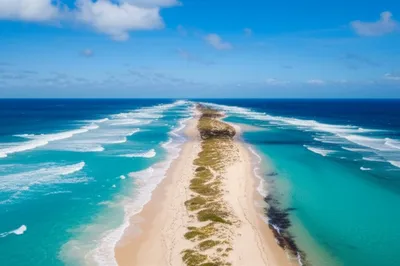 Illustration eid - Image 1