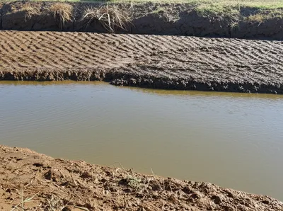 Illustration silts - Image 1