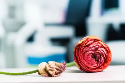 Illustration abs - Image 1