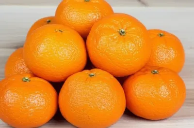 Illustration mandarins - Image 1