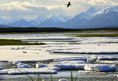 Illustration breakup - Image 1