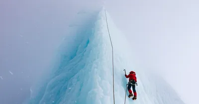 Illustration rigour - Image 1