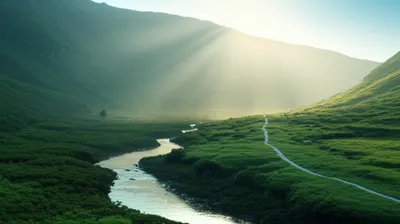 Hình ảnh minh họa dao