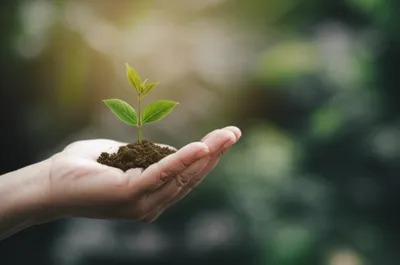 Illustration minds - Image 1