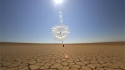 Illustration lightest - Image 1