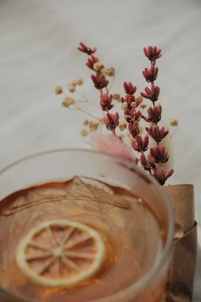 Illustration toddy - Image 2