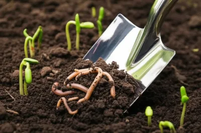 Illustration digs - Image 1