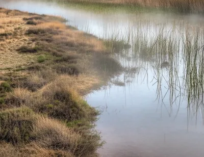 Illustration rands - Image 1