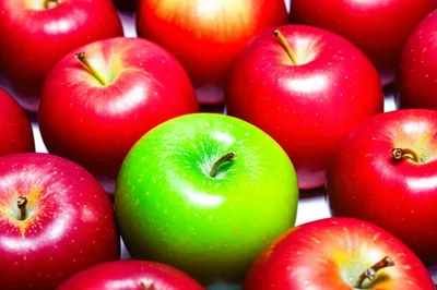 Illustration differentiation - Image 1