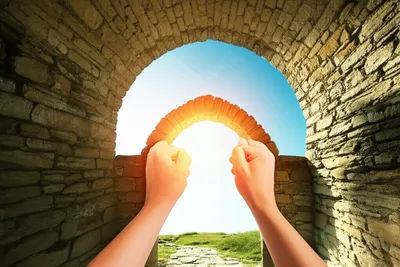 Illustration warrants - Image 1