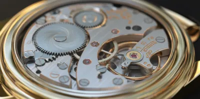 Illustration balances - Image 1