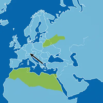 Illustration annexe - Image 1