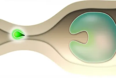 Illustration mediators - Image 1