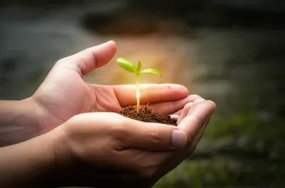 Illustration press - Image 1