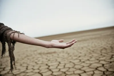 Illustration arm - Image 1