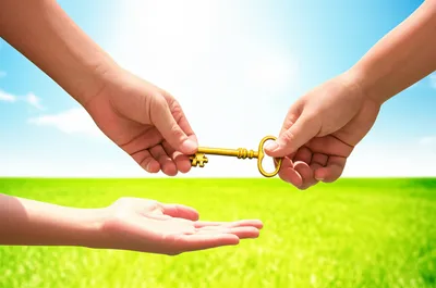 Illustration advancement - Image 1