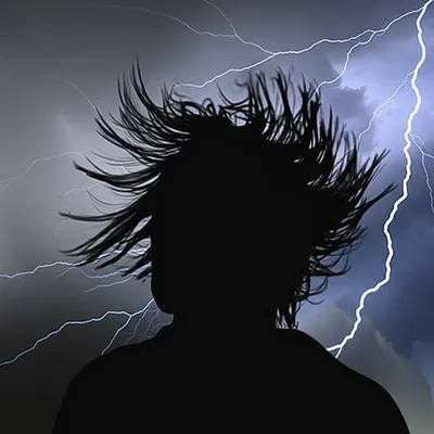 Illustration howled - Image 1