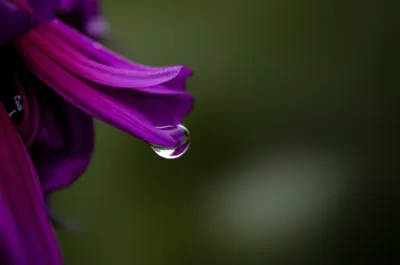 Illustration wither - Image 1