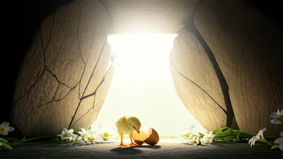 Illustration paschal - Image 1