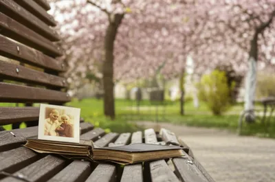 Illustration memories - Image 1