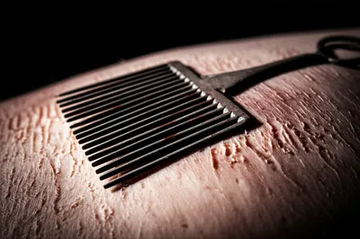 Illustration carding - Image 1