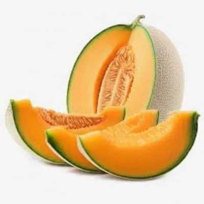 Illustration cantaloupe