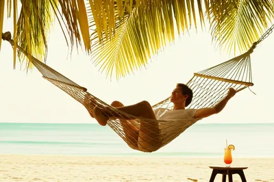 Illustration delight - Image 1