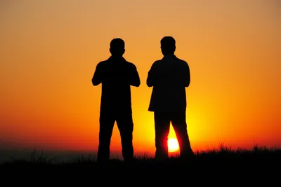 Hình ảnh minh họa compeer - Ảnh 1