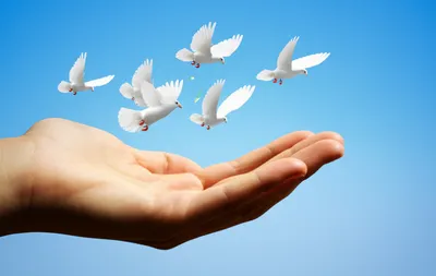 Illustration complimentary - Image 1