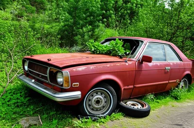 Illustration piece - Image 1