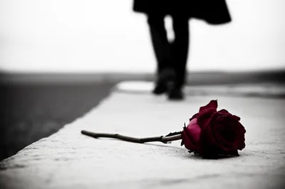 Illustration alienating - Image 2