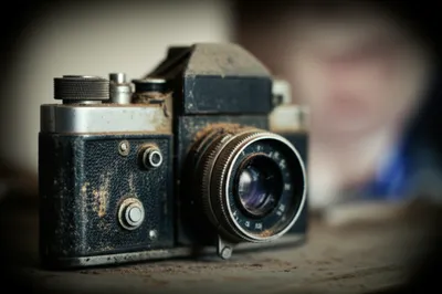 Illustration potato - Image 1