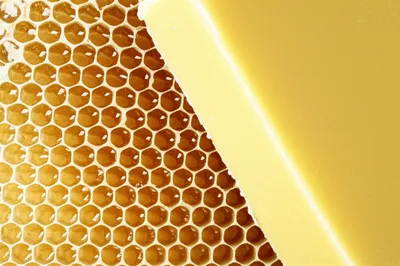 Illustration beeswax