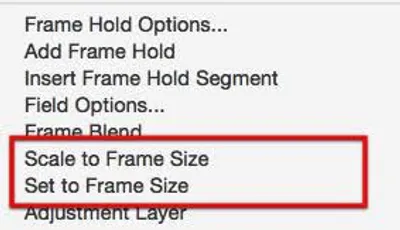 Illustration scale - Image 5