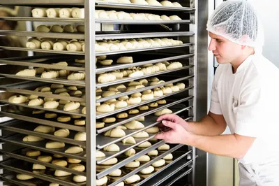 Illustration premade - Image 1