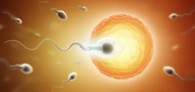 Illustration conceptions - Image 1