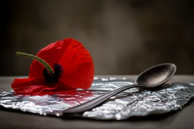 Illustration smack - Image 1